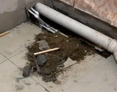 阳西卫生间漏水检测哪家好