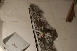 阳西卫生间漏水检测电话
